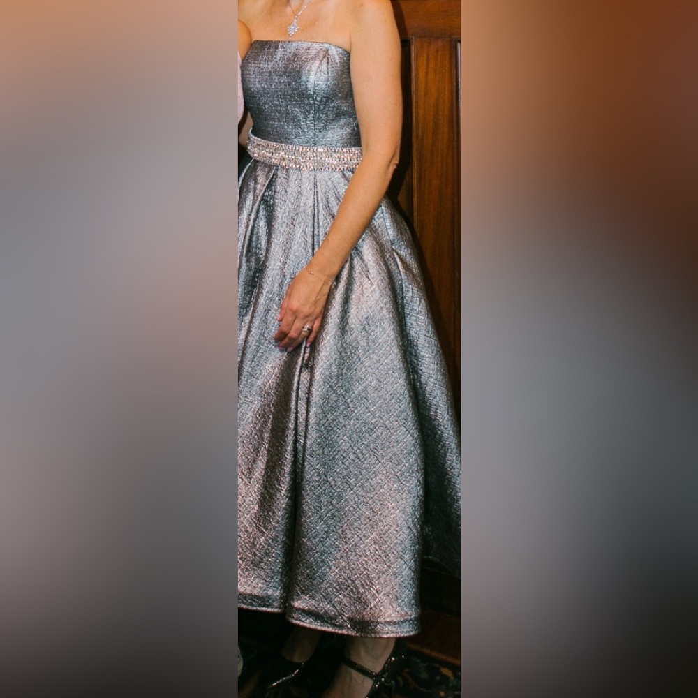 Elegant Silver Metallic Gown